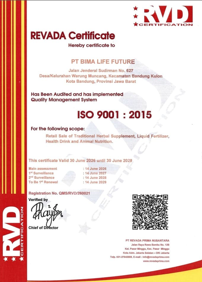 ISO 9001 Korporat
